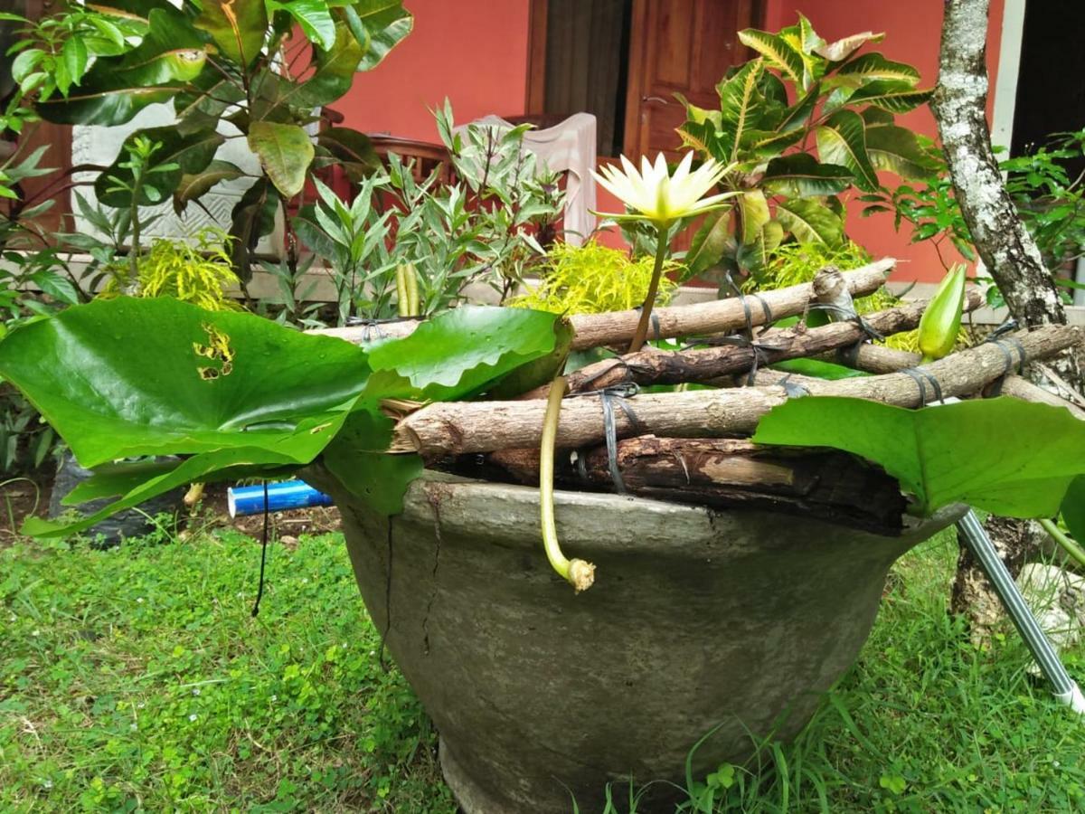 Made Roejas Homestay Uluwatu  Ngoại thất bức ảnh